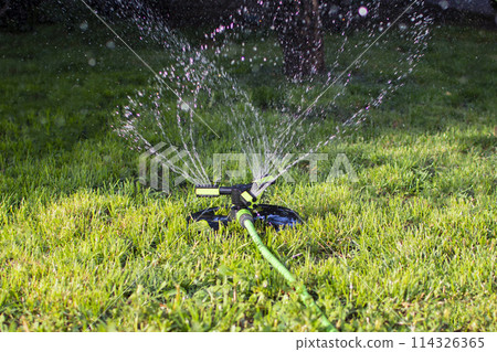 portable lawn sprinkler sprinkles water on green lawn 114326365
