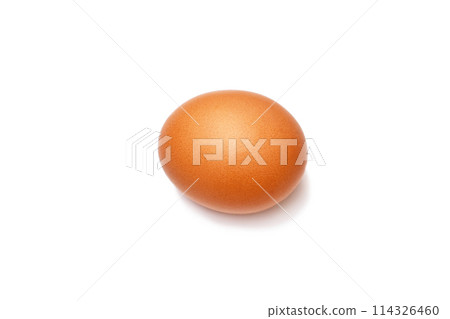 one brown chicken egg on a white background one brown chicken egg on a white background 114326460