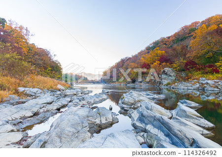 Autumn in Nagatoro, Saitama - Autumn leaves at the Arakawa River Autumn in Nagatoro, Saitama - Autumn leaves at the Arakawa River 114326492