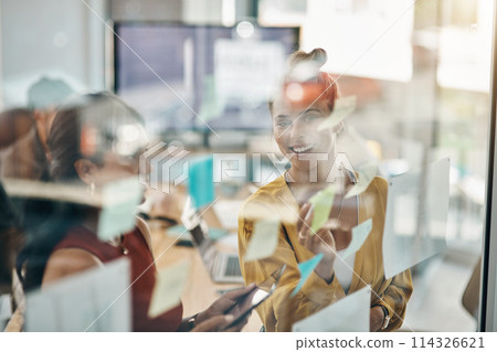 Staying dedicated to the big dream. two businesswomen brainstorming with notes on a glass wall in an office. 114326621