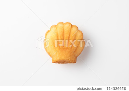 貝殼形瑪德琳蛋糕的俯視圖 114326658
