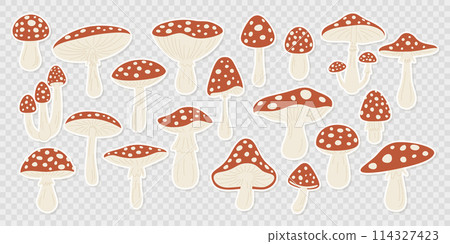 Vector Hand Drawn Cartoon Fly Agaric Mushroom Stickers Isolated. Amanita Muscaria, Fly Agaric Illustration, Mushrooms Collection. Magic Mushroom Set, Design Template 114327423