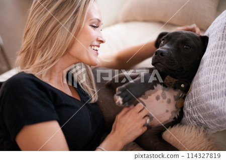 Happy, scratch or woman and dog on a sofa with love, care and bonding at home together. Pets, attention and female person relax with pitbull puppy in living room with security, trust or foster safety 114327819