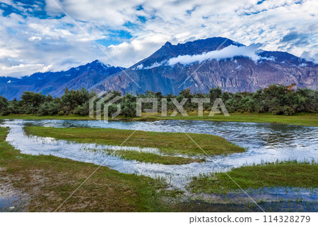 Nubra valley, Ladakh, India 114328279