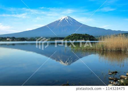 日本風景：山梨縣河口湖町河口湖大石公園的倒富士 114328475