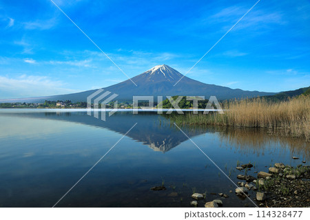 日本風景:山梨縣河口湖町河口湖大石公園的倒富士 日本風景:山梨縣河口湖町河口湖大石公園的倒富士 114328477