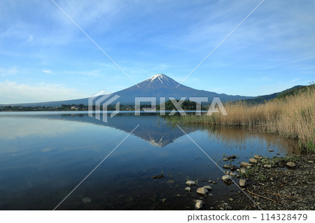 日本風景:山梨縣河口湖町河口湖大石公園的倒富士 日本風景:山梨縣河口湖町河口湖大石公園的倒富士 114328479