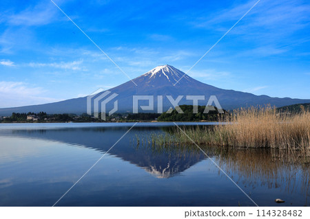 日本風景:山梨縣河口湖町河口湖大石公園的倒富士 日本風景:山梨縣河口湖町河口湖大石公園的倒富士 114328482