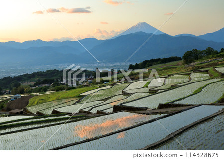 日本的原始風景：南阿爾卑斯山的梯田和黎明時分的富士山 114328675