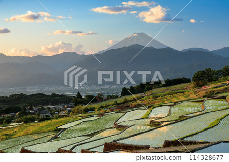 Original Japanese landscape: Rice terraces and Mt. Fuji at dawn in the Southern Alps 114328677
