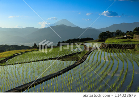 Original Japanese landscape: Rice terraces and Mt. Fuji at dawn in the Southern Alps Original Japanese landscape: Rice terraces and Mt. Fuji at dawn in the Southern Alps 114328679