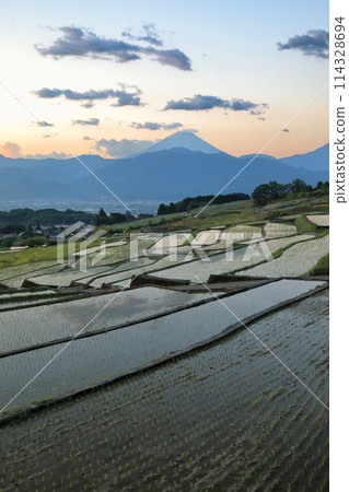 日本的原始風景：南阿爾卑斯山的梯田和黎明時分的富士山 114328694