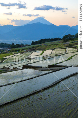 日本的原始風景：南阿爾卑斯山的梯田和黎明時分的富士山 114328695