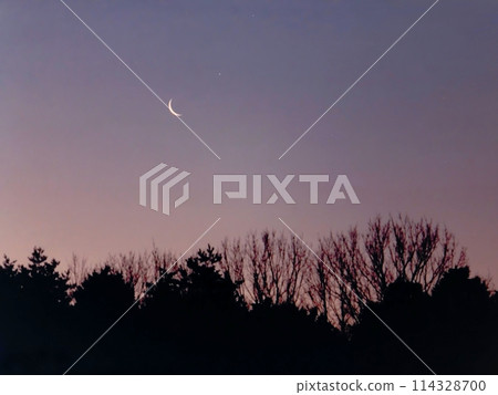 Morning Moon 114328700