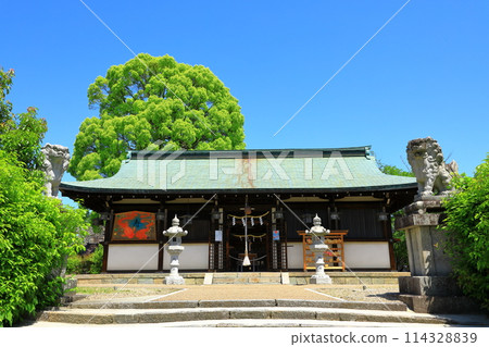 Yanagisawa Shrine, Koriyama Castle Ruins, Yamatokoriyama City, Nara Prefecture 114328839