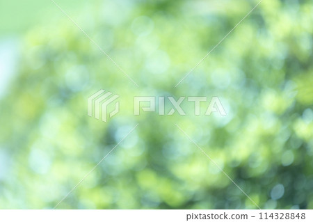 Fresh green bokeh balls, background material 114328848