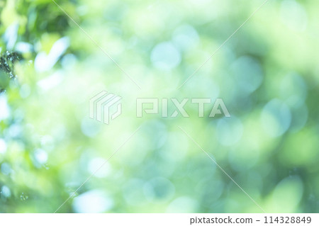 新鮮的綠色球散景，背景材料 114328849