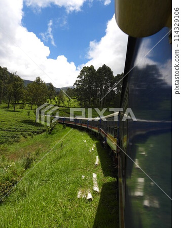 Tea Railway Tea Railway 114329106