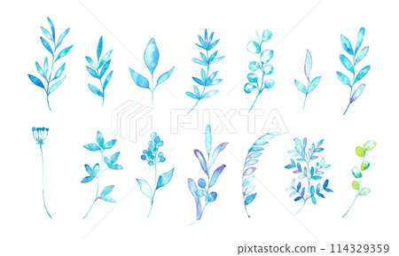 水彩。植物向量圖與水彩觸感。婚禮圖像的夏季植物框架。 水彩。植物向量圖與水彩觸感。婚禮圖像的夏季植物框架。 114329359