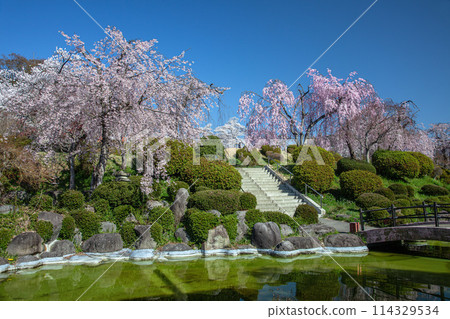 春天Tsukioka公園 114329534