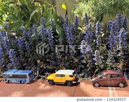 景觀與迷你車 景觀與迷你車 114329557
