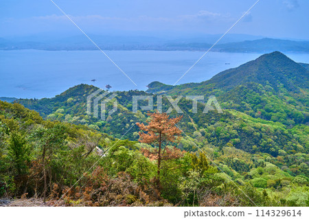 春天從愛媛郡今治市龜老山展望公園的展望台看到的西南側（立山、小島等） 114329614
