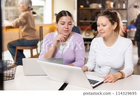 Two calm caucasian women sitting in cafe diligently doing their work on laptop Two calm caucasian women sitting in cafe diligently doing their work on laptop 114329695