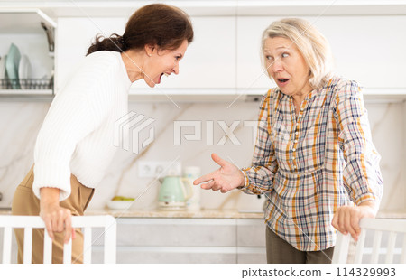 Domestic quarrel - elderly mother quarrels with her adult daughter and starts screaming 114329993