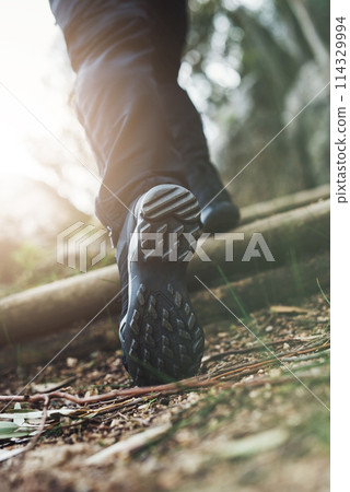 Running, shoes and fitness person in park for training, workout and morning cardio sports in nature. Go, feet and runner in a forest with freedom, power or energy for action, performance or exercise 114329994