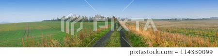 Banner, land and nature for farming outdoor, blue sky and wheat field for agriculture with sustainability, growth and eco. Meadow, Switzerland countryside and ecosystem, biodiversity and landscape Banner, land and nature for farming outdoor, blue sky and wheat field for agriculture with sustainability, growth and eco. Meadow, Switzerland countryside and ecosystem, biodiversity and landscape 114330099