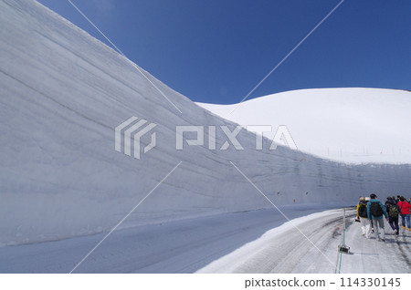 Snow Valley Tateyama Kurobe Alpine Route Snow Valley Tateyama Kurobe Alpine Route 114330145