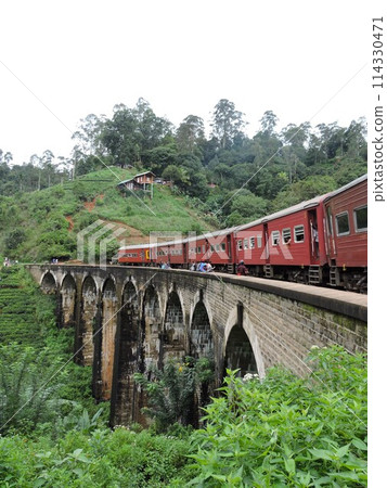 Nine Arch Bridge and train 114330471