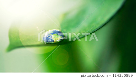 Water drops, leaf and plant in world, nature or environment on a background in summer. Earth, droplet or planet with morning dew, abstract texture or liquid closeup for sustainability on mockup space Water drops, leaf and plant in world, nature or environment on a background in summer. Earth, droplet or planet with morning dew, abstract texture or liquid closeup for sustainability on mockup space 114330899