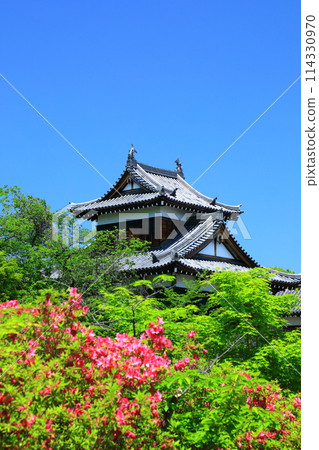 奈良縣大和郡山市、郡山城跡、大手櫓 奈良縣大和郡山市、郡山城跡、大手櫓 114330970