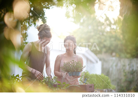 Couple, man and woman with plants in backyard, harvest and sustainability of herbs for growth. Happy people, working and caring for vegetables together with smile, organic and vegan food in garden 114331010