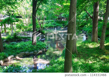 Meguro Ward Forestry Experiment Park 114331466