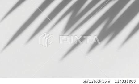 白牆上反射的抽象植物陰影的輪廓（用於乘法等） 114331869