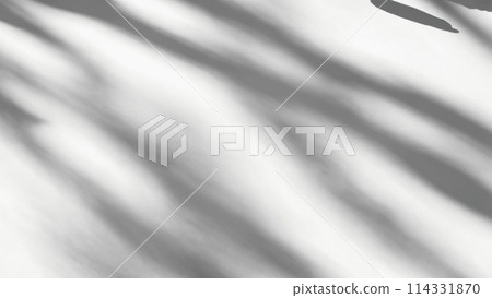 Silhouette of an abstract plant shadow on a white wall (intended for use with multiplication, etc.) 114331870