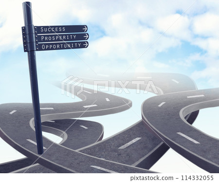 Highway, road and business decision or future opportunity with crosswalk or career, choice or sign. Street, direction and journey or corporate company growth or pathway split, options or intersection 114332055
