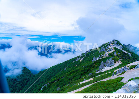 [登山素材] 夏天的椿嶽山脊線和升騰的雲彩 [長野縣] 114332350