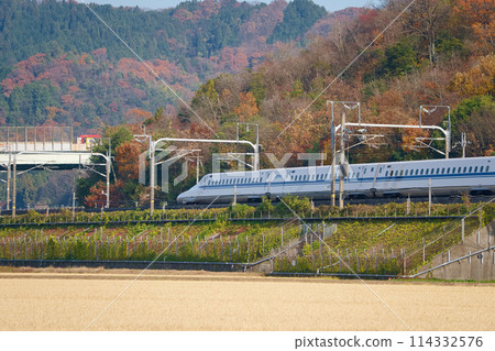 A bullet train running along a mountain covered in autumn leaves A bullet train running along a mountain covered in autumn leaves 114332576