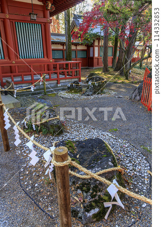 Ikushima明日香神社 114332853