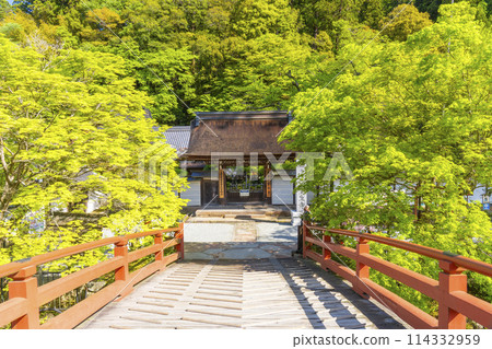 奈良、室生寺、室生川上的太鼓橋 114332959