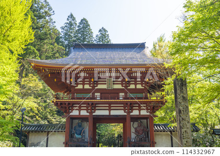 奈良室寺二王門新綠 奈良室寺二王門新綠 114332967