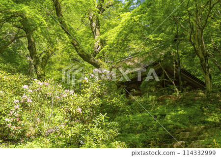 奈良室寺正殿，秋葉美麗 114332999