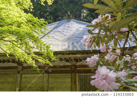 奈良室寺近堂，秋葉美麗，杜鵑花盛開 114333003