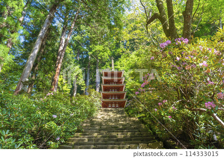 Nara: Beautiful green leaves and rhododendrons at the five-story pagoda of Muroji Temple 114333015