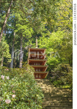 Nara: Beautiful green leaves and rhododendrons at the five-story pagoda of Muroji Temple 114333016