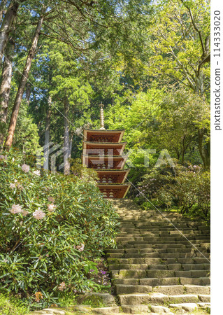 奈良室寺五層寶塔，秋葉美麗，杜鵑花盛開 114333020