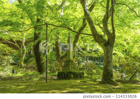 Nara - Beautiful greenery at Muroji Temple - Memorial tower for the completion of the sacred site Nara - Beautiful greenery at Muroji Temple - Memorial tower for the completion of the sacred site 114333026